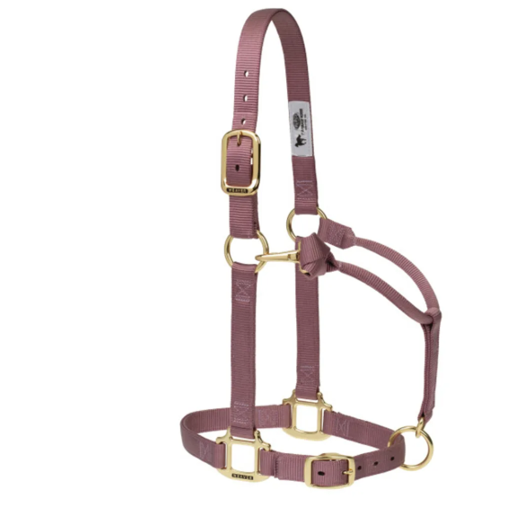Weaver Leather Original Adjustable Nylon Horse Halter, 1" Large - Multiple Colours - Irvine Tack & Western Wear