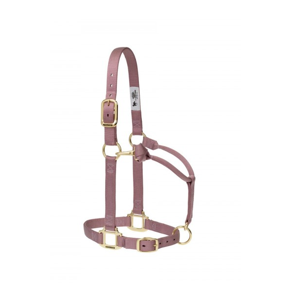 Weaver Leather Original Adjustable Nylon Horse Halter 1" Small - Multiple Colours - Irvine Tack & Western Wear