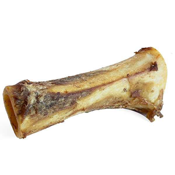 Open Range Cured bone 6" - Irvine Tack & Western Wear