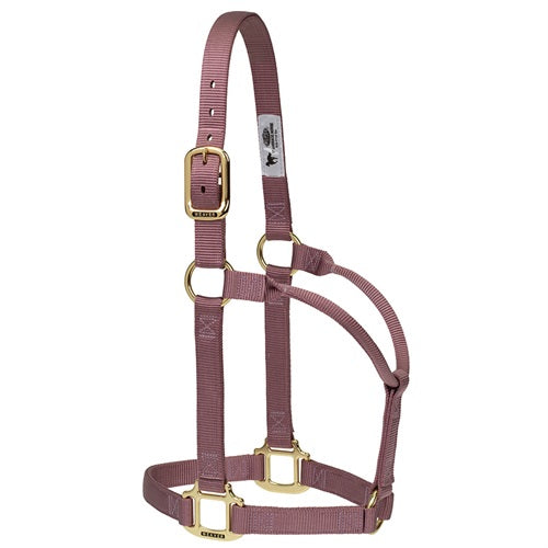 Weaver Leather Original Non-Adjustable Nylon Horse Halter-LARGE HORSE