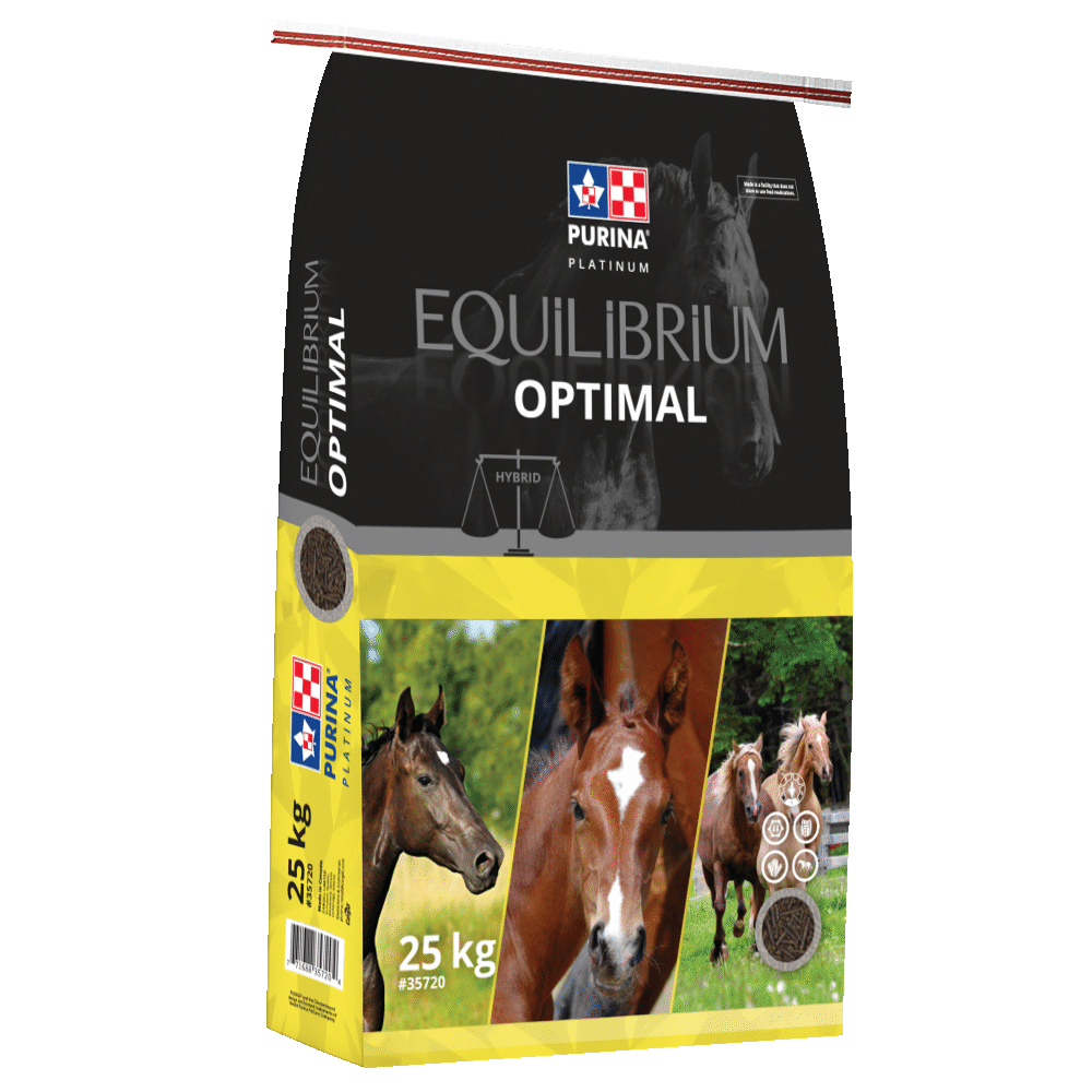 Purina Equilibriam Optimal-25KG - Irvine Tack & Western Wear