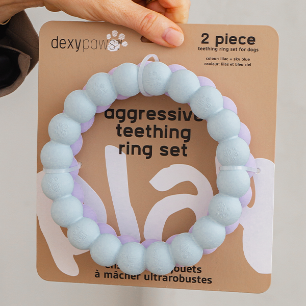 Dexypaws Dog Aggresive Chew Teething Ring-Purple-Blue - Irvine Tack & Western Wear