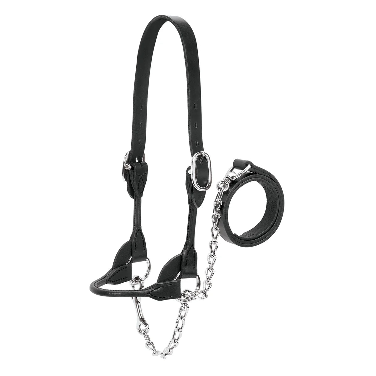 Weaver Rounded Cattle Show Halter -Multiple Colours