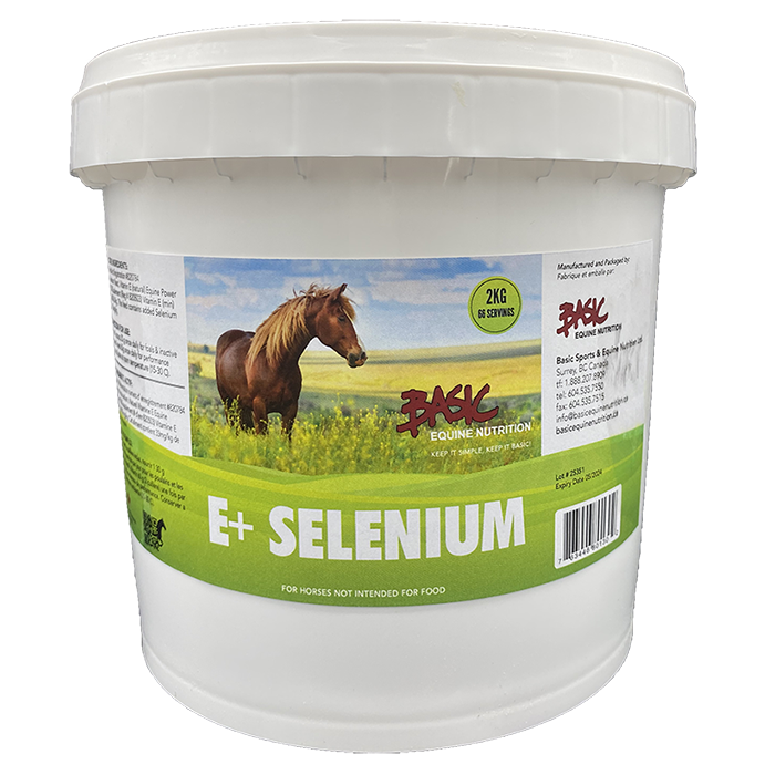 Basic Equine E+Selenium 1KG - Irvine Tack & Western Wear