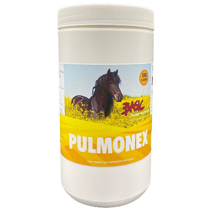 Basic Equine Pulmonex