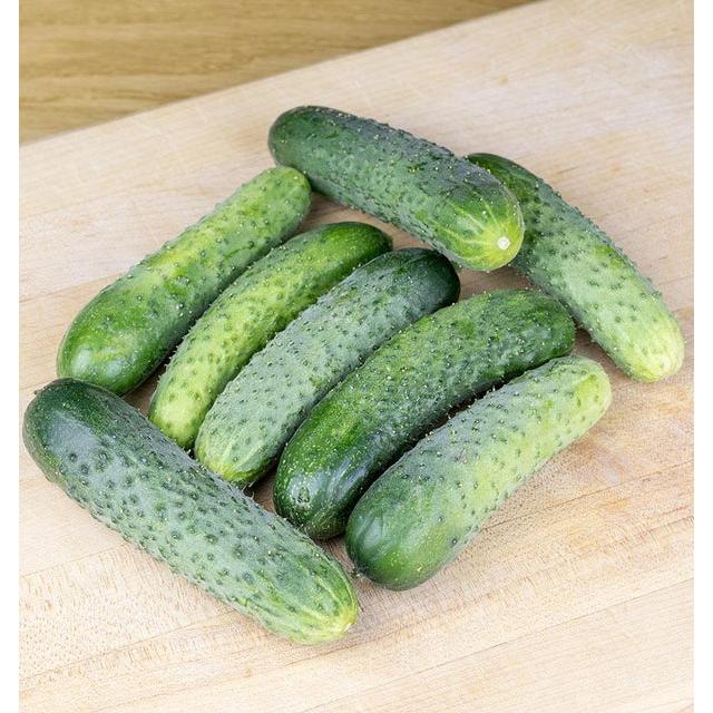 West Coast Seeds Cucumbers - Artist Gherkin F1 Coated