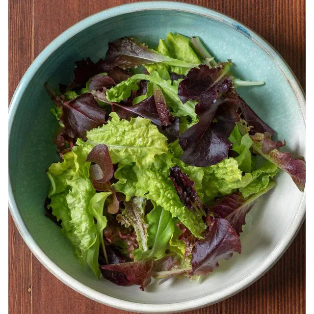 West Coast Seeds Vegetable Seeds - Lettuce - City Garden Pelleted 125 Pellets