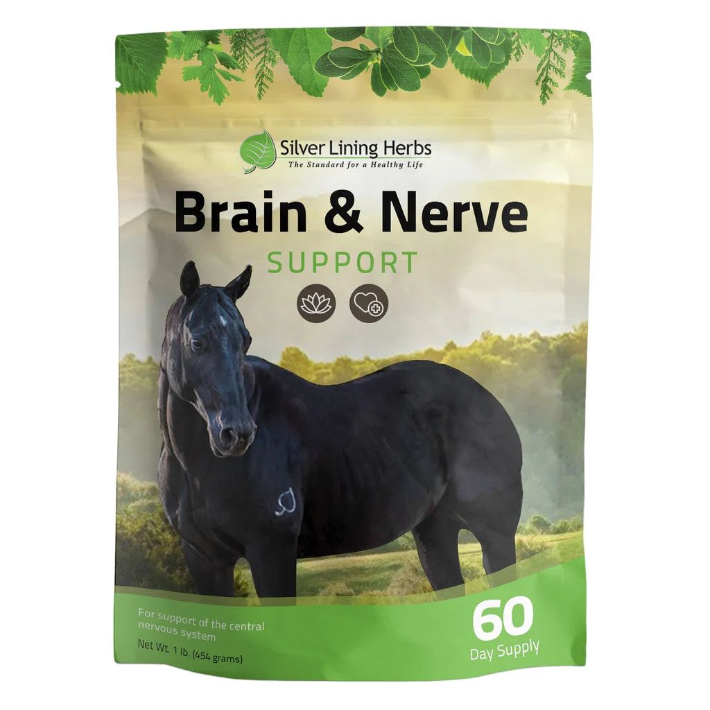 Silver Lining Herbs Brain and Nerve Support -1LB
