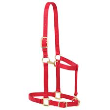 Weaver Nylon Adjustable Draft Horse Halter, 1-1/2" Large Draft - Irvine Tack & Western Wear