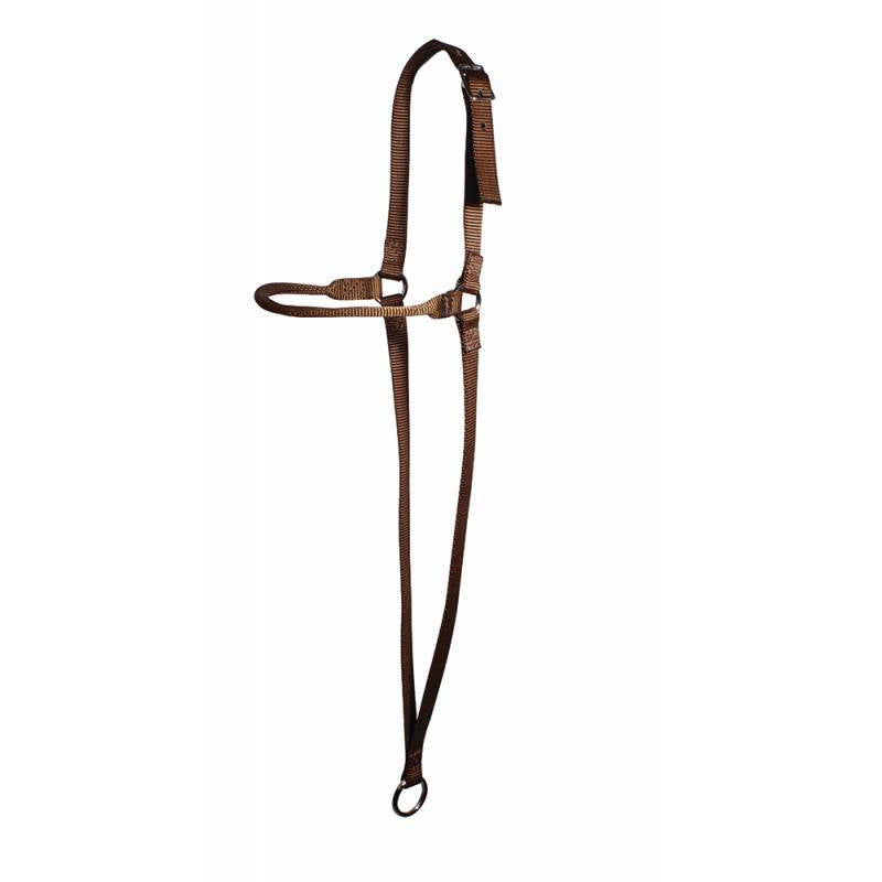Professional's Choice War Bonnet Chocolate Webbing - Irvine Tack & Western Wear