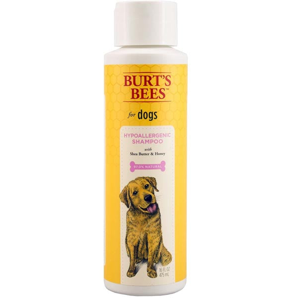 BB Shampoo Hypoallergenic 16oz