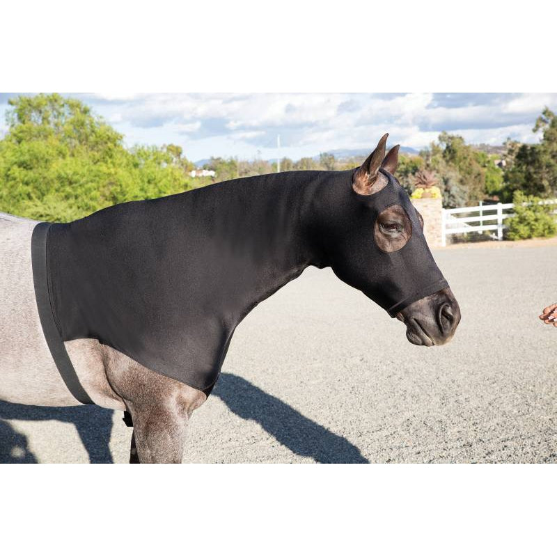 Professional's Choice Horse Hoodie