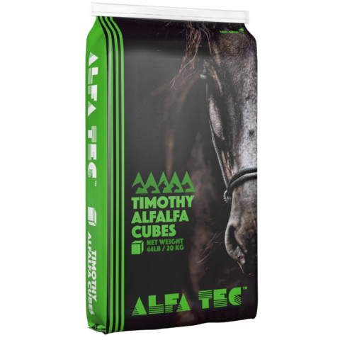 Alfa Tec Timothy Alfalfa Cubes - 20KG - Irvine Tack & Western Wear