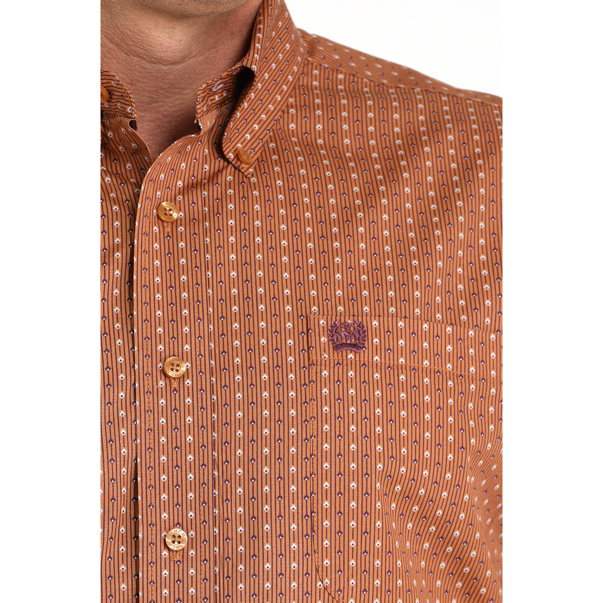 Cinch Men's Long Sleeve Print Shirt - Brown