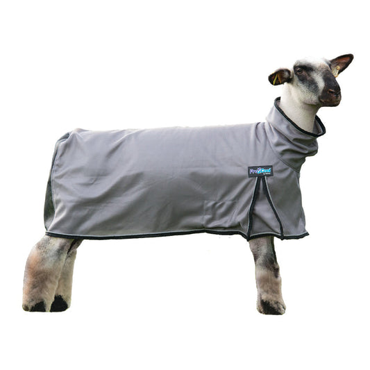 Weaver ProCool™ Mesh Sheep Blanket with Reflective Piping-Small