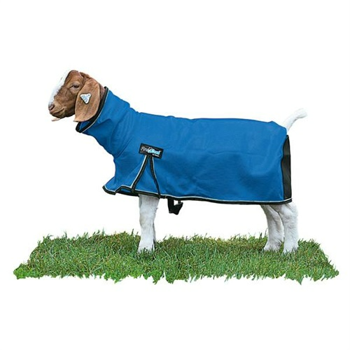 Weaver ProCool Goat Blanket w/Reflective Piping & Mesh Butt