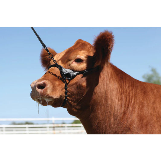 Weaver  Braid Rawhide Chain Lead-Black