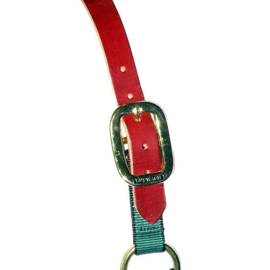 Burwash Ultimate Halter W/Breakaway-Weanling
