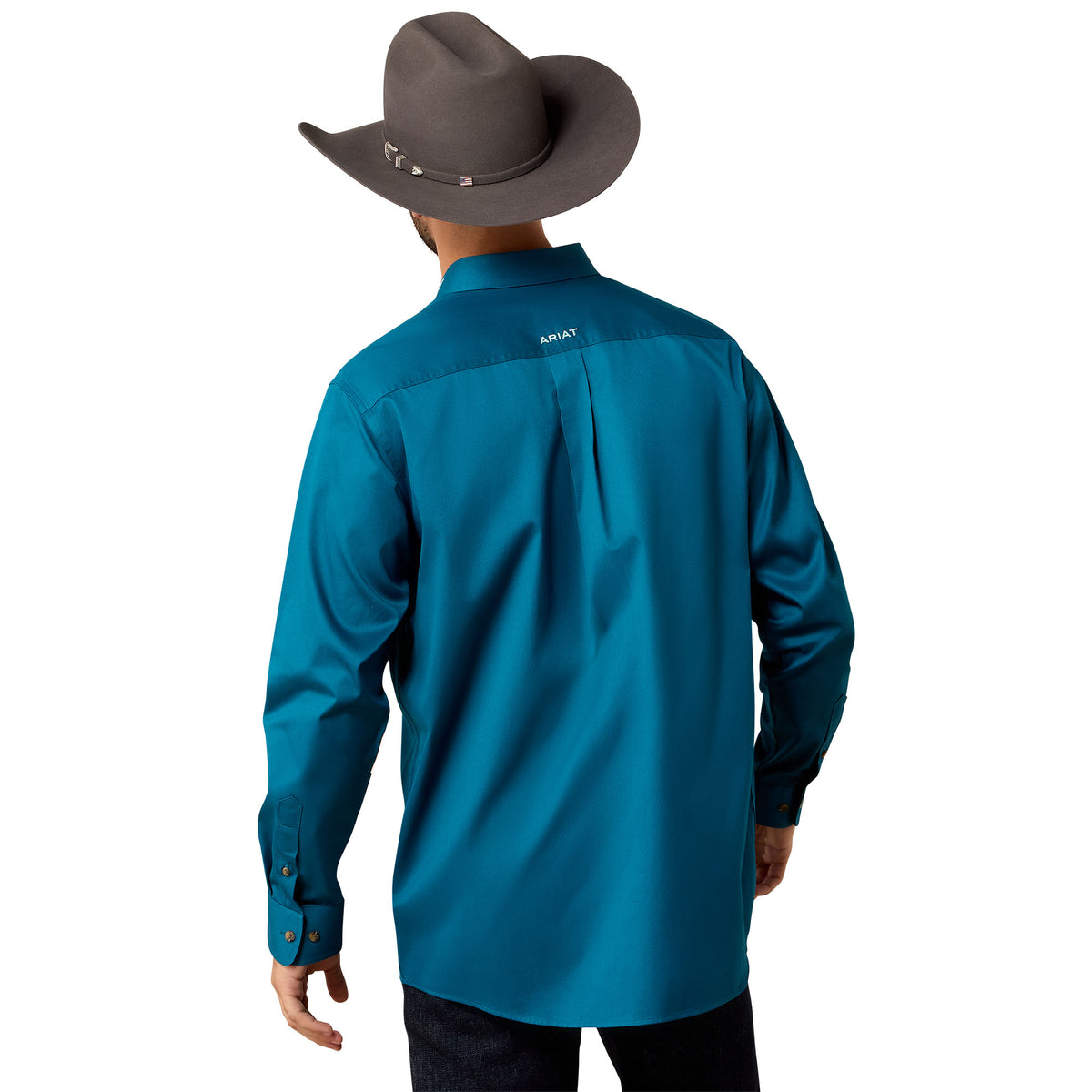 Ariat Men's Team Logo Twill Classic Fit Shirt - Lyons Blue/Mint