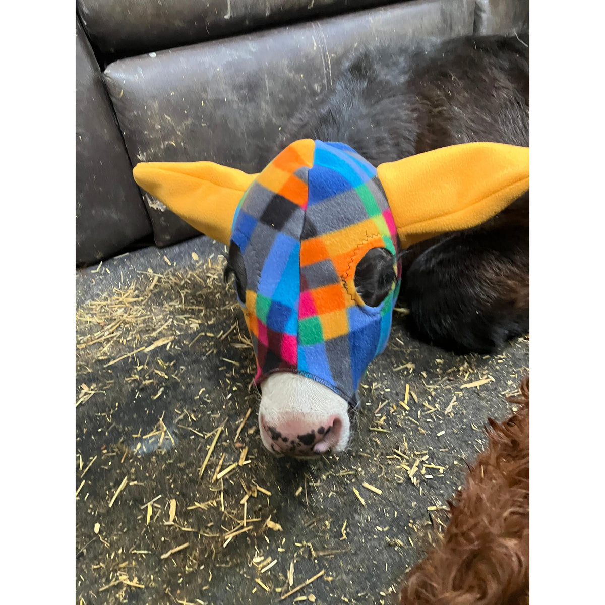 Mooques Calf Touque - Irvine Tack & Western Wear