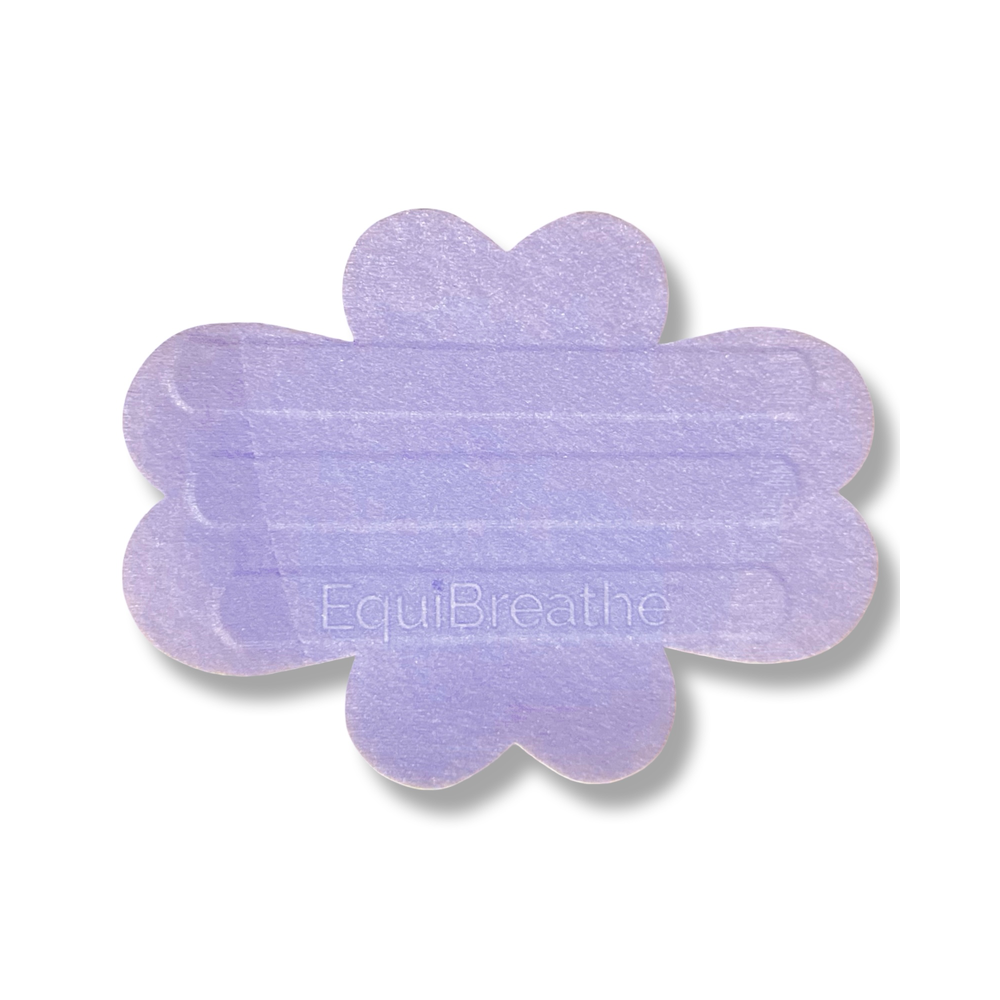 EquiBreathe Equine Nasal Patch