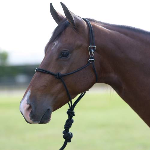Professionals Choice Easy On Rope Halter-Mini-Multiple Colours - Irvine Tack & Western Wear