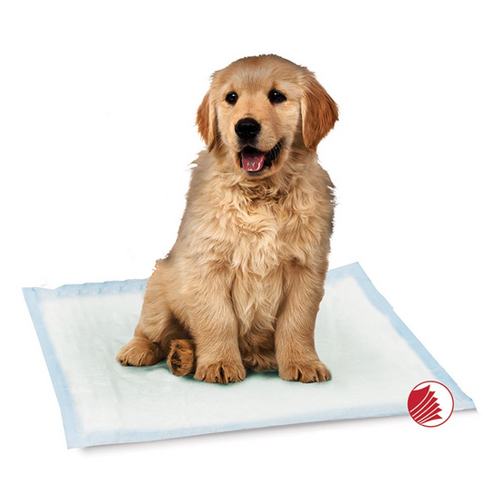 Training Pads 22"x22" - 30 pack
