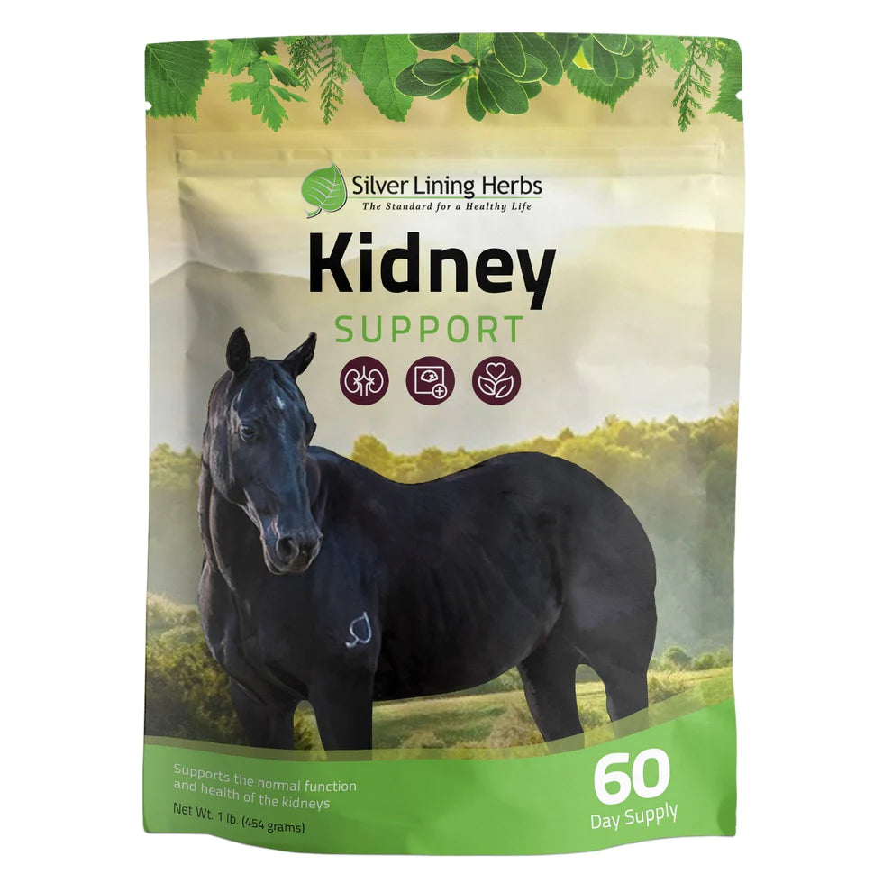 Silver Lining Herbs Kidney Support 