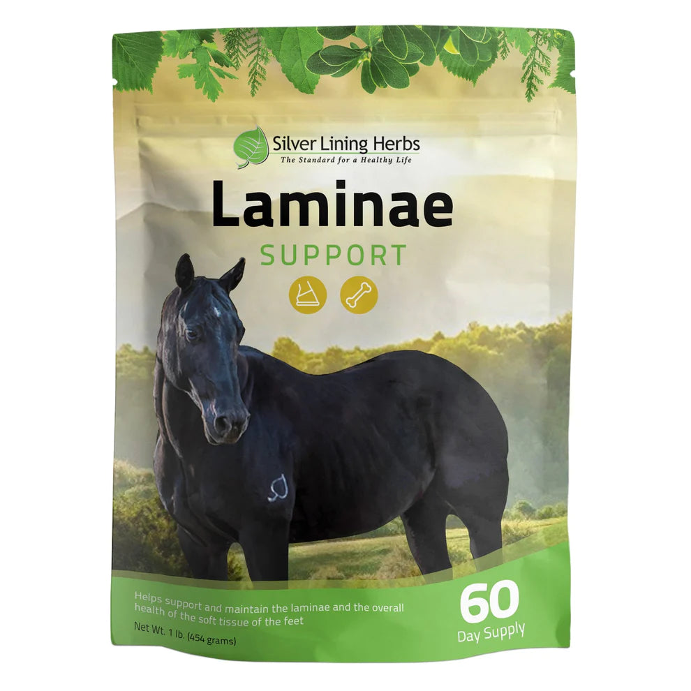 Silver Lining Herbs Laminae Support -1LB - Irvine Tack & Western Wear
