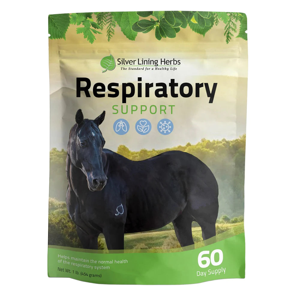 Silver Lining Herbs Respiratory Support -1LB