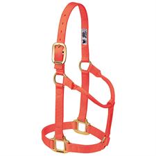 Weaver Leather Original Non-Adjustable Nylon Horse Halter-LARGE HORSE - Irvine Tack & Western Wear