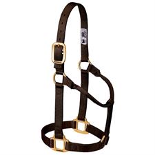 Weaver Leather Original Non-Adjustable Nylon Horse Halter-LARGE HORSE - Irvine Tack & Western Wear