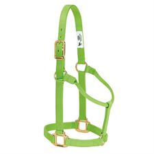 Weaver Leather Original Non-Adjustable Nylon Horse Halter-LARGE HORSE - Irvine Tack & Western Wear