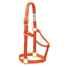 Weaver Leather Original Non-Adjustable Nylon Horse Halter-LARGE HORSE - Irvine Tack & Western Wear