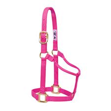 Weaver Leather Original Non-Adjustable Nylon Horse Halter-LARGE HORSE - Irvine Tack & Western Wear