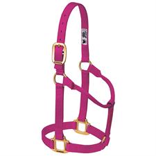 Weaver Leather Original Non-Adjustable Nylon Horse Halter-LARGE HORSE - Irvine Tack & Western Wear