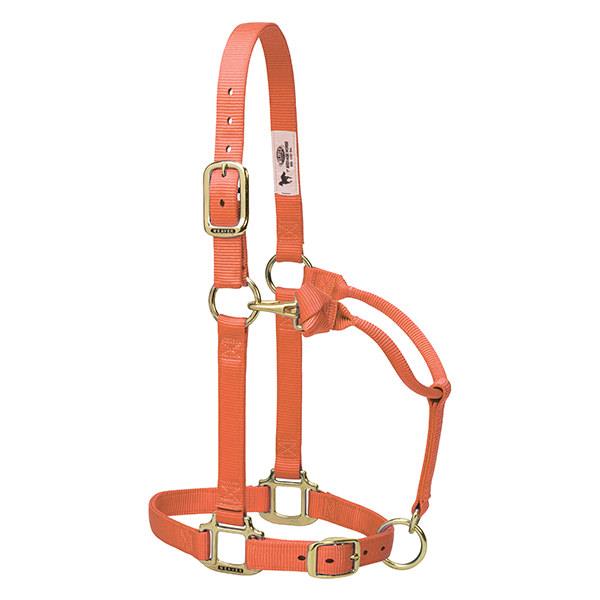 Weaver Leather Original Adjustable Nylon Horse Halter 1" Yearling - Multiple Colours - Irvine Tack & Western Wear