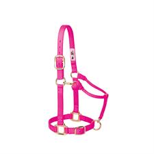 Weaver Leather Original Adjustable Nylon Horse Halter 1" Yearling - Multiple Colours - Irvine Tack & Western Wear