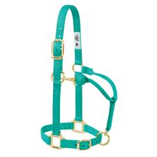 Weaver Leather Original Adjustable Nylon Horse Halter 1" Yearling - Multiple Colours - Irvine Tack & Western Wear