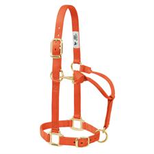 Weaver Leather Original Adjustable Nylon Horse Halter 1" Yearling - Multiple Colours - Irvine Tack & Western Wear