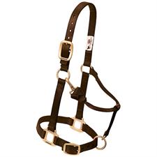 Weaver Leather Original Adjustable Nylon Horse Halter, 1" Average - Multiple Colours - Irvine Tack & Western Wear