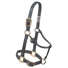 Weaver Leather Original Adjustable Nylon Horse Halter, 1" Average - Multiple Colours - Irvine Tack & Western Wear