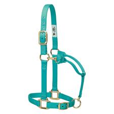 Weaver Leather Original Adjustable Nylon Horse Halter, 1" Average - Multiple Colours - Irvine Tack & Western Wear