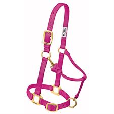 Weaver Leather Original Adjustable Nylon Horse Halter, 1" Average - Multiple Colours - Irvine Tack & Western Wear
