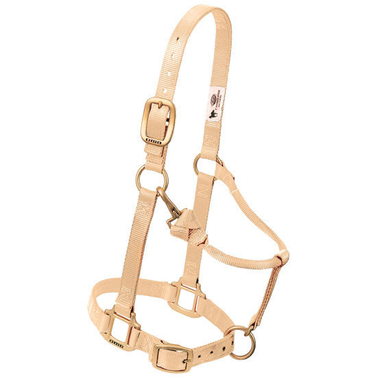 Weaver Leather Original Adjustable Nylon Horse Halter, 1" Average - Multiple Colours - Irvine Tack & Western Wear