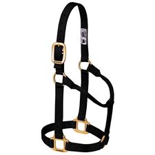 Weaver Leather Original Non-Adjustable Nylon Horse Halter-LARGE HORSE - Irvine Tack & Western Wear