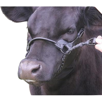 Sullivans 1ST Class Show Halter
