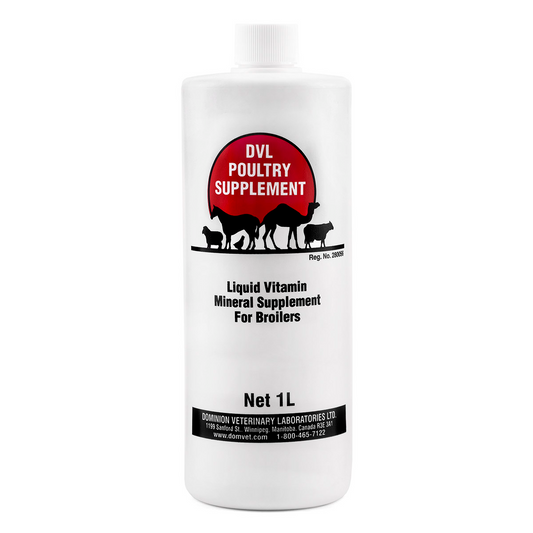 DVL Poultry Supplement - 100ml